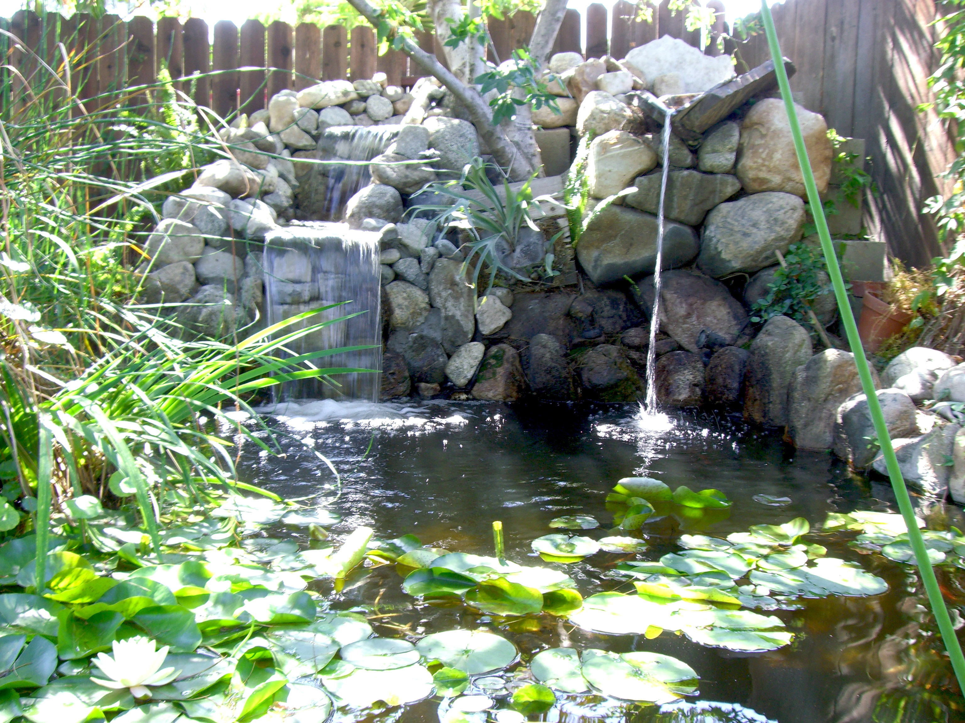 Claremont pond construction-0