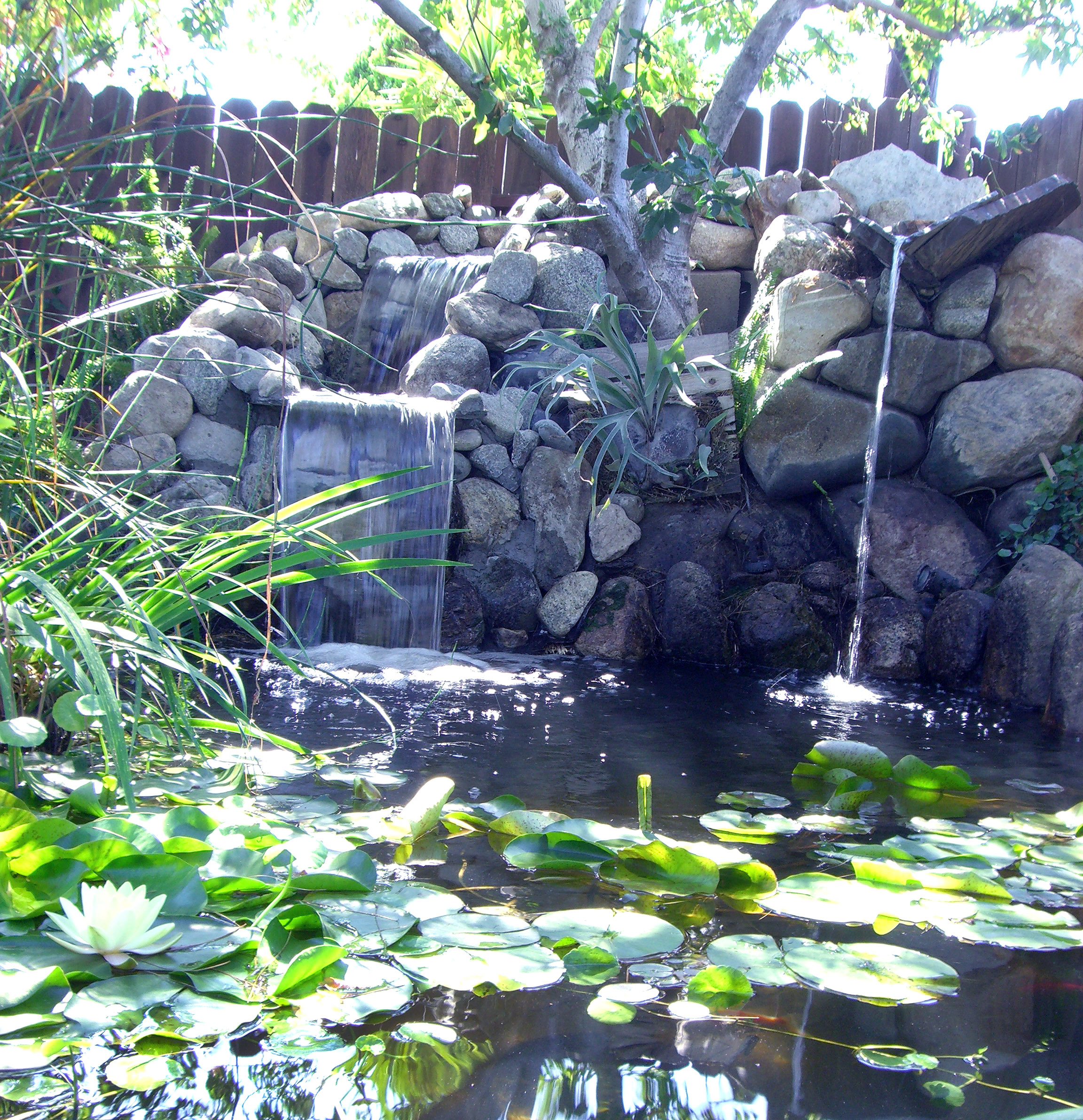 Claremont pond construction-1
