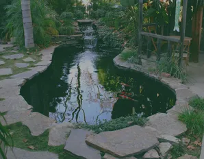 Mystic Koi pond construction-0