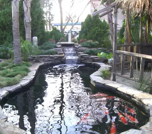 Mystic Koi pond construction-4