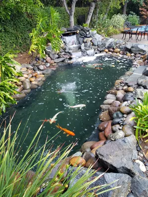 San Marino pond construction-0