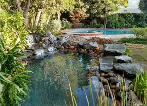 San Marino pond construction-1