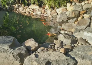 San Marino pond construction-2