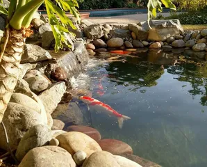 San Marino pond construction-5