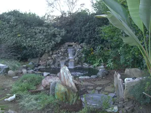 Upland 2 pond construction-1