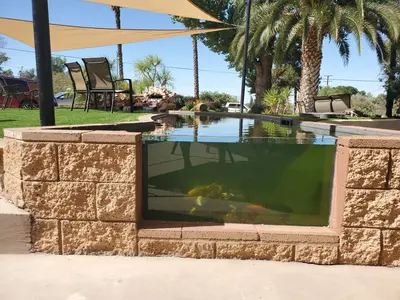 Window Koi pond construction