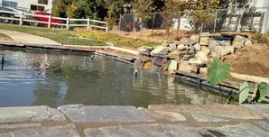 Yucaipa pond construction-1