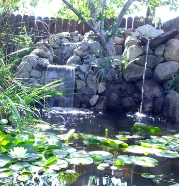 Claremont pond construction