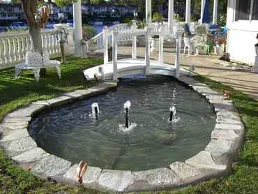 Lake Forest pond construction