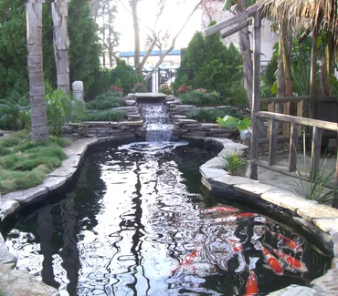 Mystic Koi pond construction