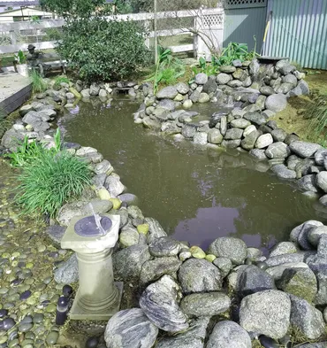 Norco pond construction