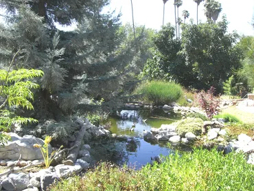 Riverside pond construction