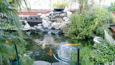 Sun City pond construction