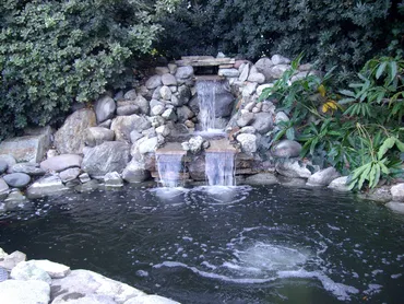 Upland 2 pond construction